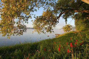 The Nature Conservancy 🍃 For People and Nature