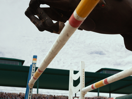 EQUESTRIAN FEDERATION HIRES 500 PR EXPERTS TO MANAGE "HORSE WELFARE"