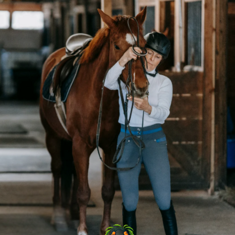 Barn Owner Installs 'Passive-Aggressive Note Generator' in Tack Room