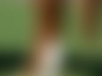 Alive... and Still Kicking: When a Horse’s Name Becomes a Status Report