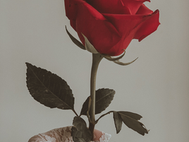 Partnership at Eye Level (as long as I’m the one on top)