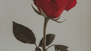 Partnership at Eye Level (as long as I’m the one on top)