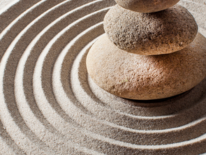 Pirouettes of the Soul: "Inner Canter" Cult Grips Dressage World