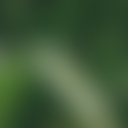 Exclusive Interview: A Green Blade of Grass at the Equestrian World Championships Looks Out at the Parched Rest of the World