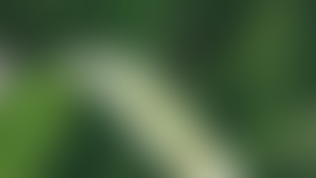 Exclusive Interview: A Green Blade of Grass at the Equestrian World Championships Looks Out at the Parched Rest of the World
