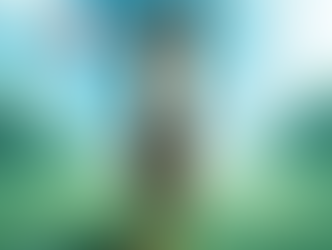 “Please Stop Noticing Things”: GEF President Alex Ferreira’s Annual ‘Do Not Perceive Us’ Address