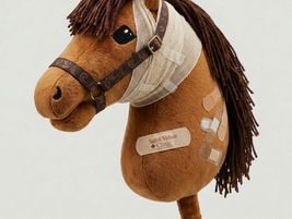 Hobby Horse in Saint Velvet Rehab Clinic Zurich
