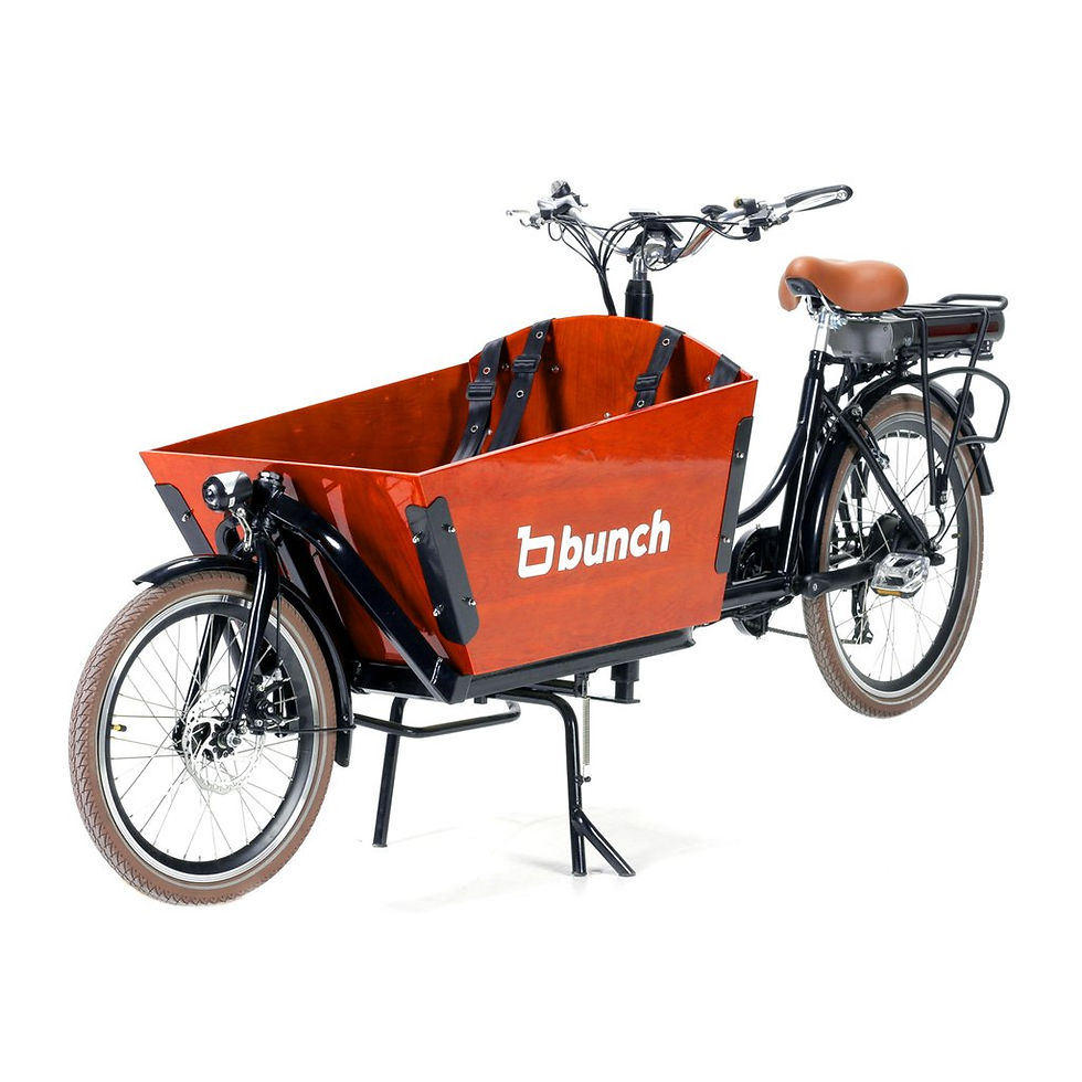 Thumbnail: Bunch Swift: Electric Family Cargo Bike