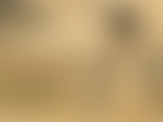 From Seoul to the Mediterranean: How a South Korean Wanderer Discovered Israel’s Strange and Beautiful Contradictions