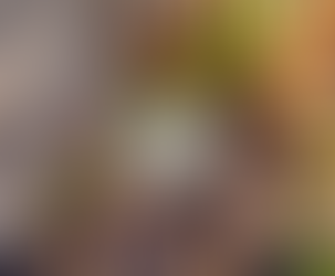 Duck Family Moves In