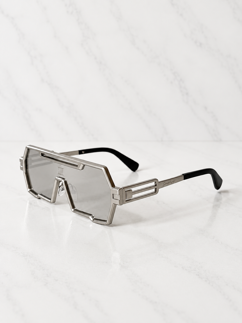 Thumbnail: THE VISION SUNGLASSES