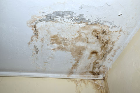 Water damage on ceiling.