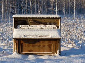 March Free Sheet Music: Playing The Blues