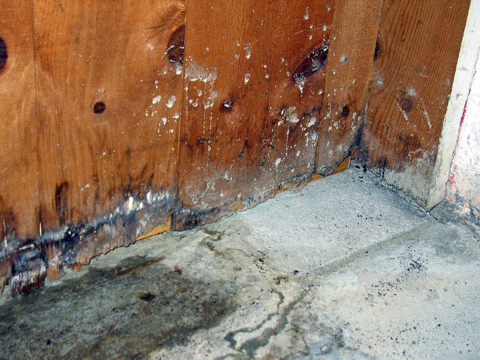 Water, Mold, Fire Restorations