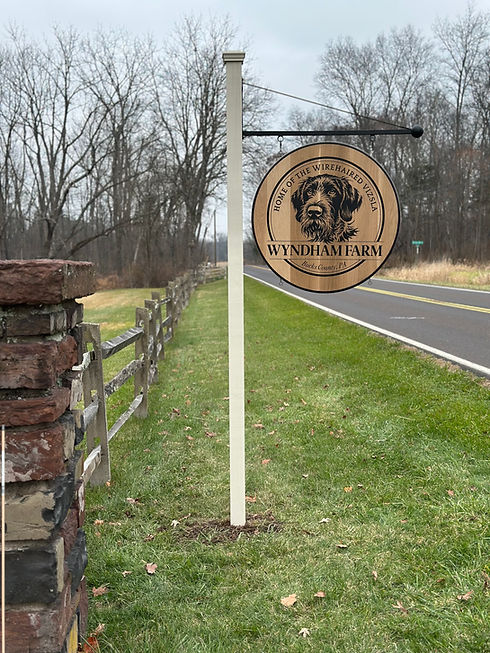 Wyndham Farm - Home of Wirehaired Vizsla's