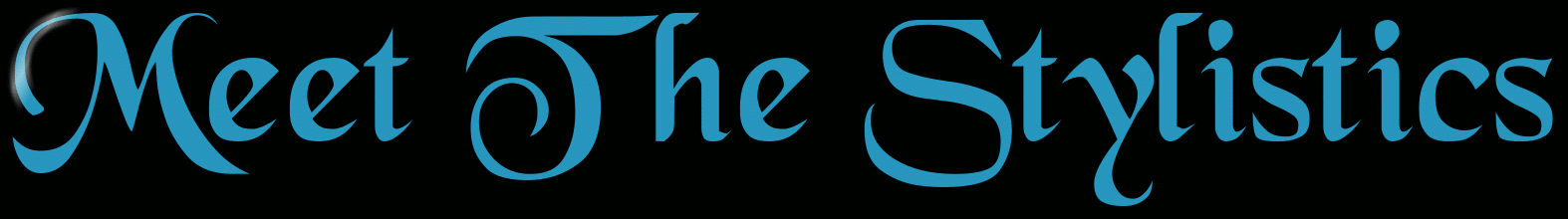 Meet The Stylistics.gif