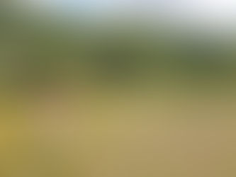 L'été & la ligne du temps du DD