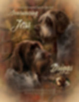 Driggs Jess Ad 2017.jpg