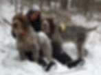 Jim snow dogs.jpg