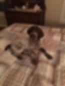Echo bed.jpg