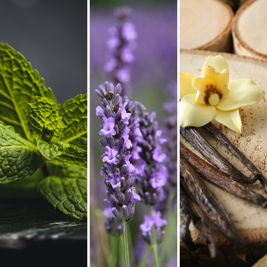 Mint, lavender, and vanilla. Fresh, natural ingredients. 213. spellboundfragrances.ch floral and sweet scents