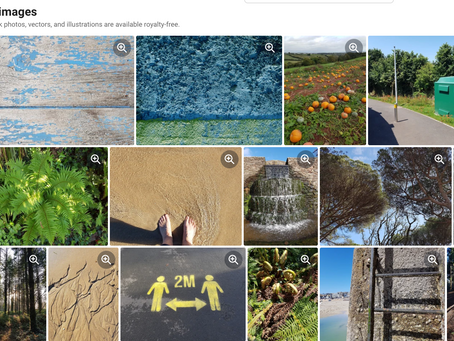 This Week's Project - Upload photos to Shutterstock