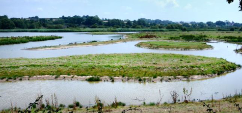 grassy wetlands view from bird hide