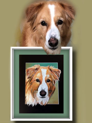 CUSTOM COLORED PENCIL~DOG~MIX