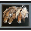 20x24
3 OBX ponies