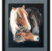14x18
OBX pony family