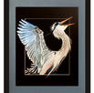 great blue heron on take off