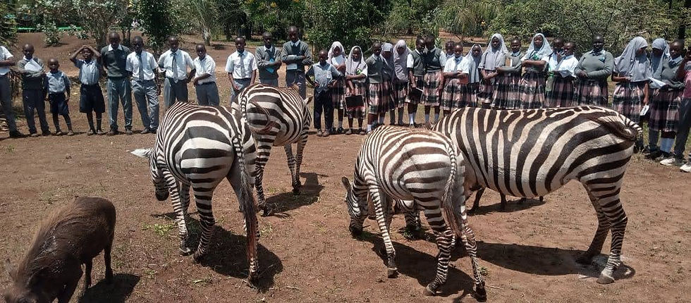 WhatsApp Image 2026-01-22 at 17.21.44.jpeg