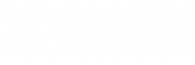 Ninewise Logo - White - Just Text.png