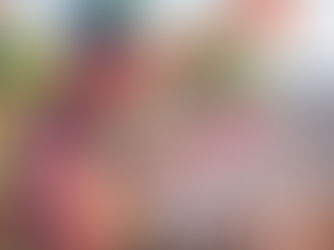 2026 METŲ PICOS FESTIVALIAI, KURIUOS TURI ŽINOTI KIEKVIENAS PICOS FANAS