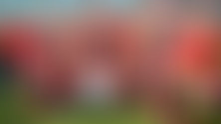 FNB SPU eyes a strong finish in debut FNB Varsity Shield season