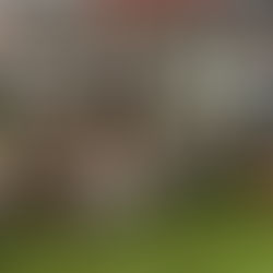 FNB Emeris set for debut FNB Varsity Cup season after securing promotion