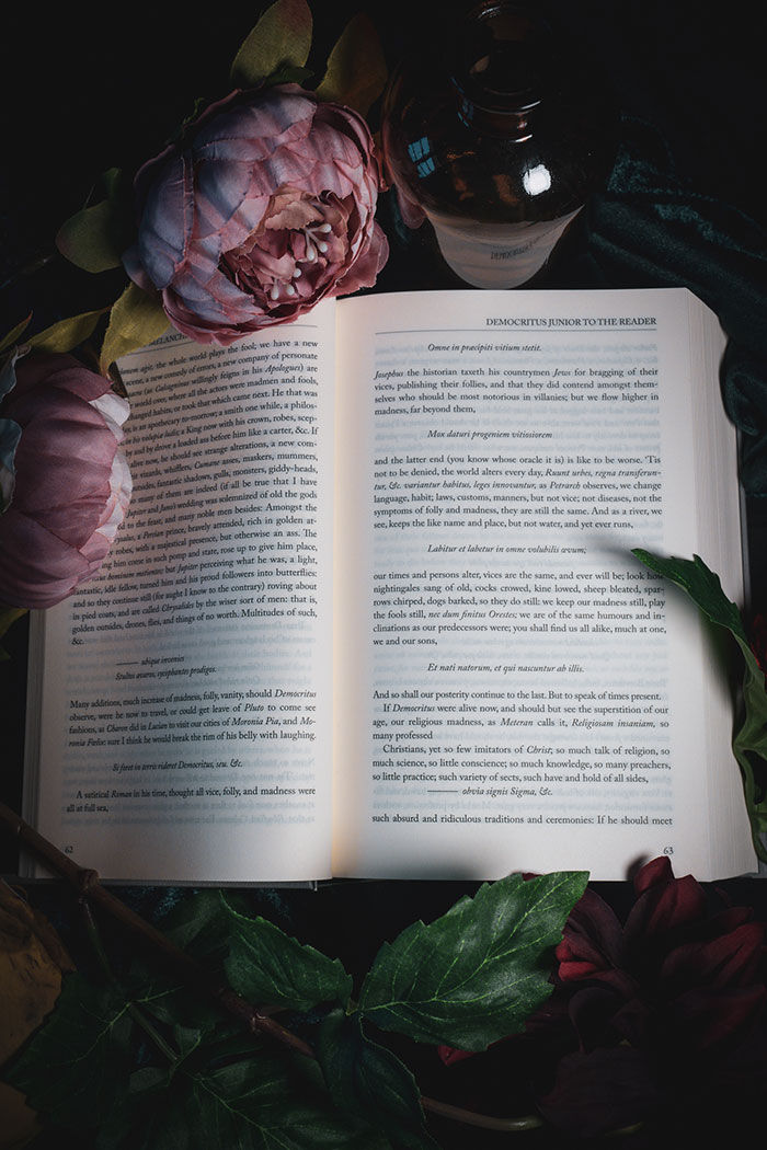 Thumbnail: Robert Burton – Anatomy of Melancholy Cover Black Letter Press Sarah b Bolen