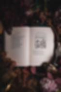 Thumbnail: Andrea Alciato - Emblemata Black Letter Press