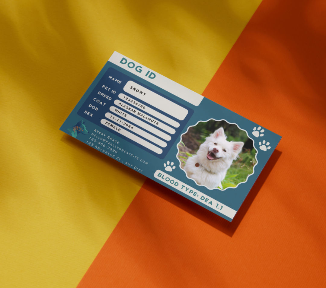 Pet ID Card