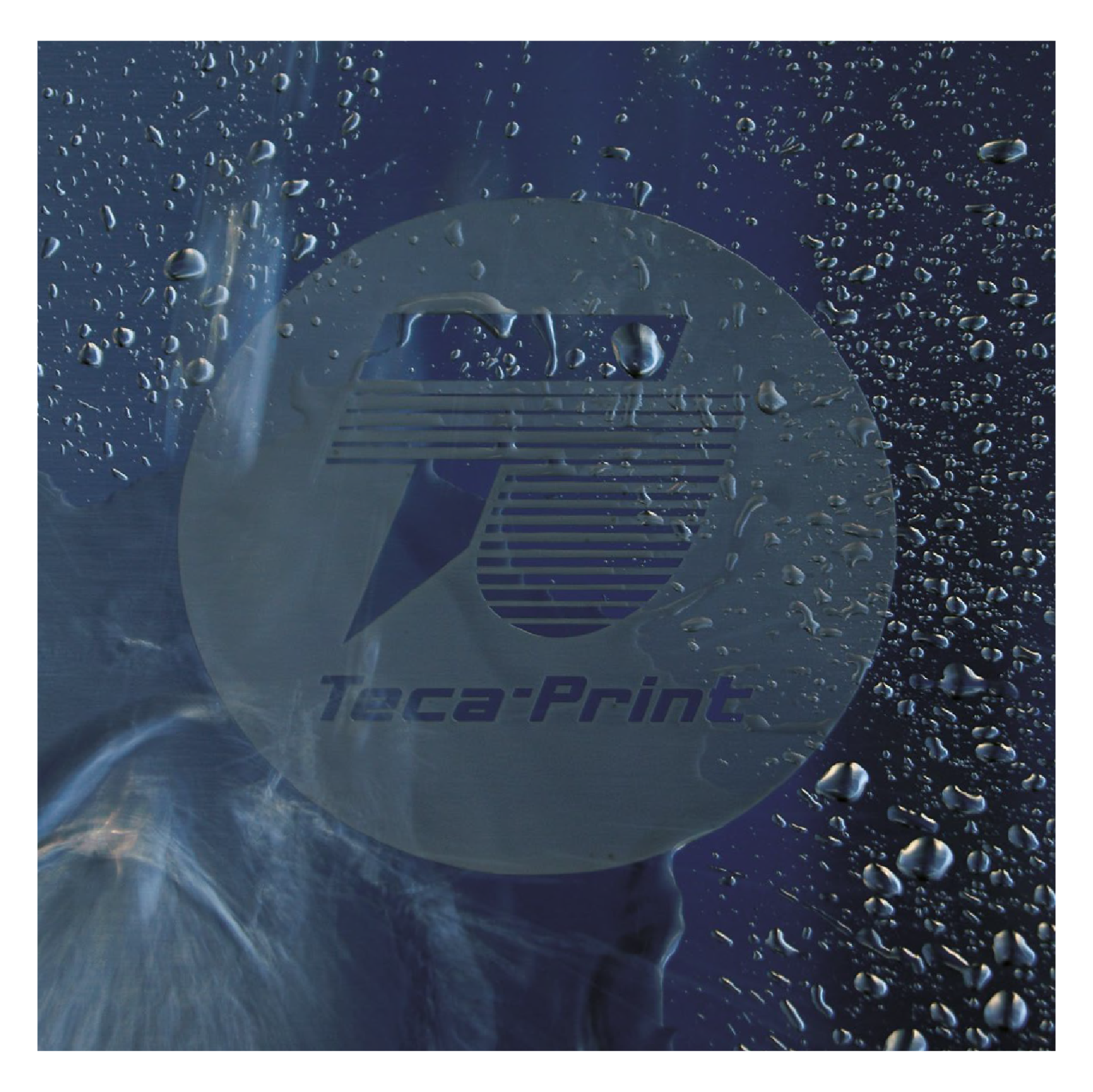Tecaprint1.png