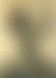 La presencia y participación activa de la mujer en la historia latinoamericana es un hecho innegable, que gracias a la investigación historiográfica va recobrando su importancia y logrando el reconocimiento que merece.