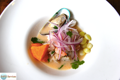 THE PERUVIAN WAY