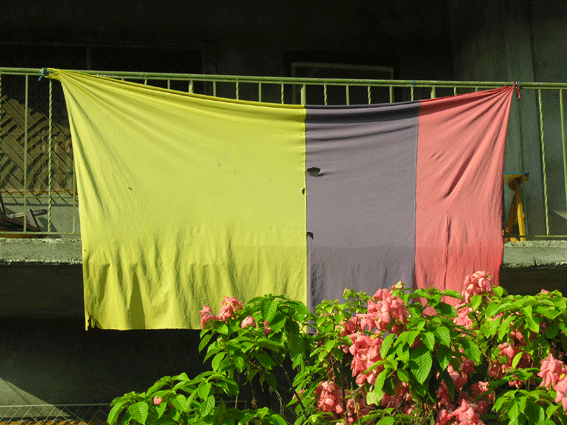e-bandera.gif