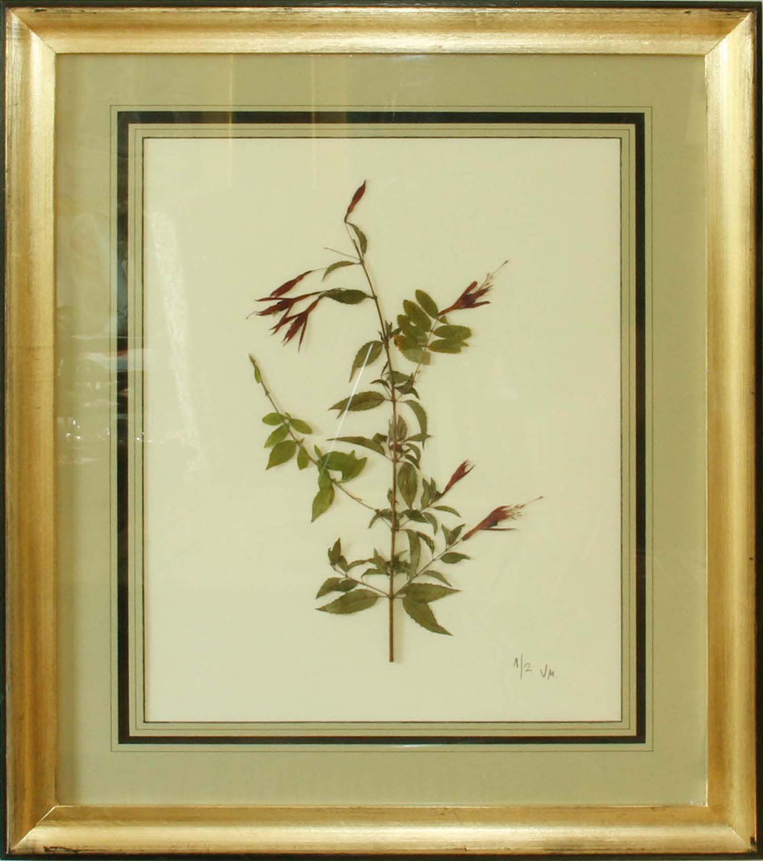 Cuadro Flores Naturales Secas Flor I 68x58