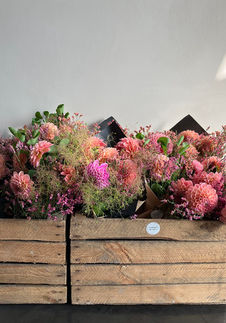 bak 9 juni Dahlia's.jpg