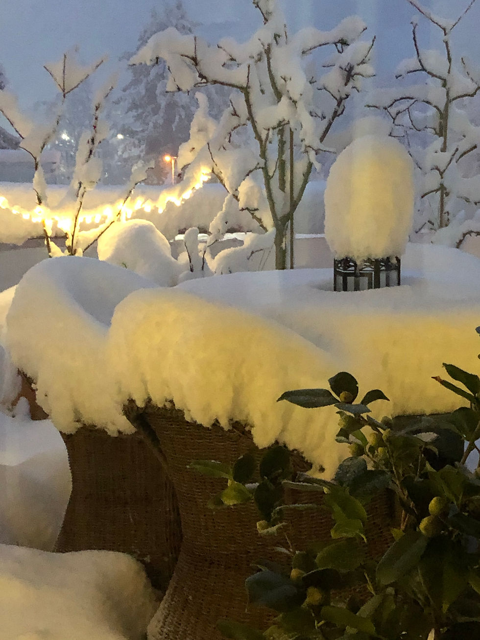 Impressionen vom Winter