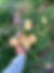 IMG_5459.jpeg