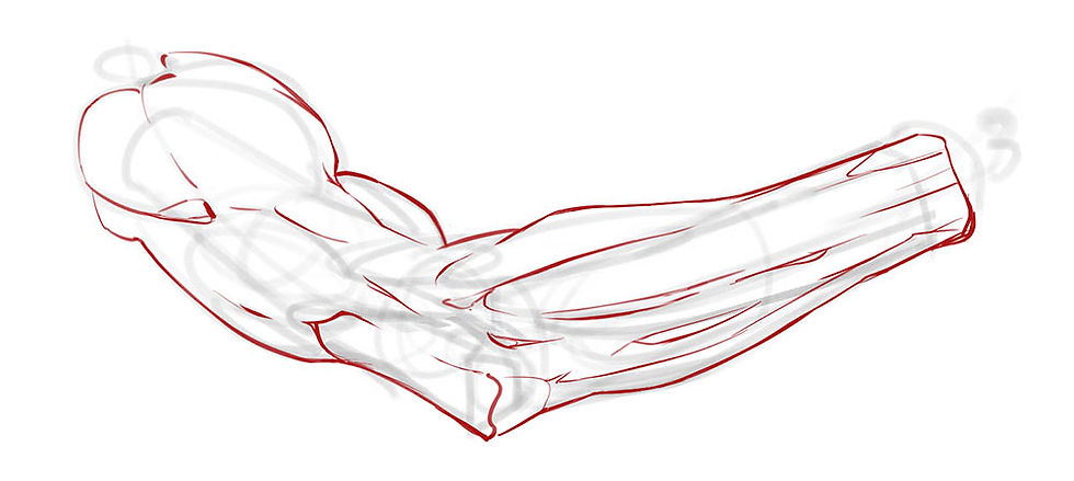 Clean Up The Arm Drawing