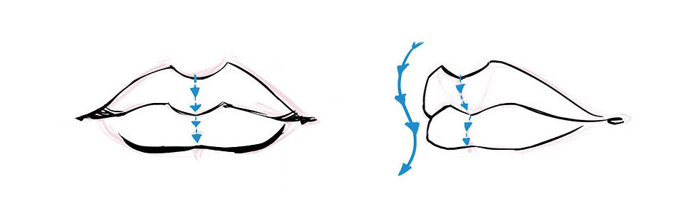 Form of The Lips