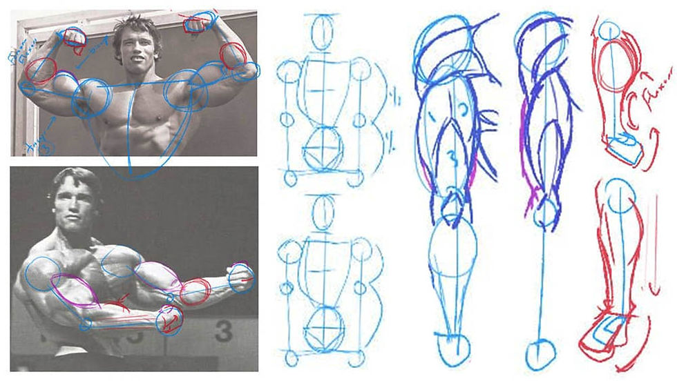 Arm Anatomy with Ed Foychuk